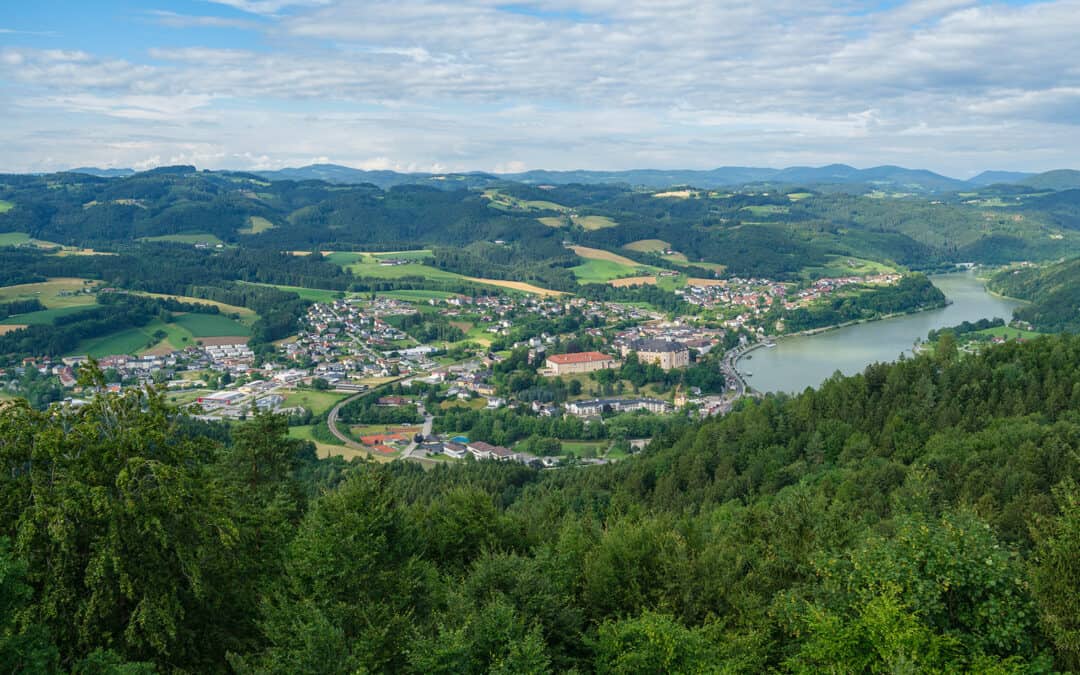 Landwirte schaffen klimaresiliente Wälder