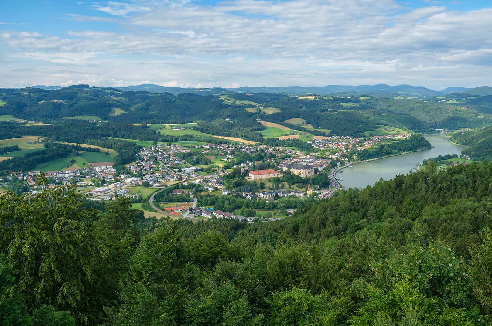 waldgeschichten-artikel-klimafitte-waldgemeinde-gepflegter-wald-grein-panorama