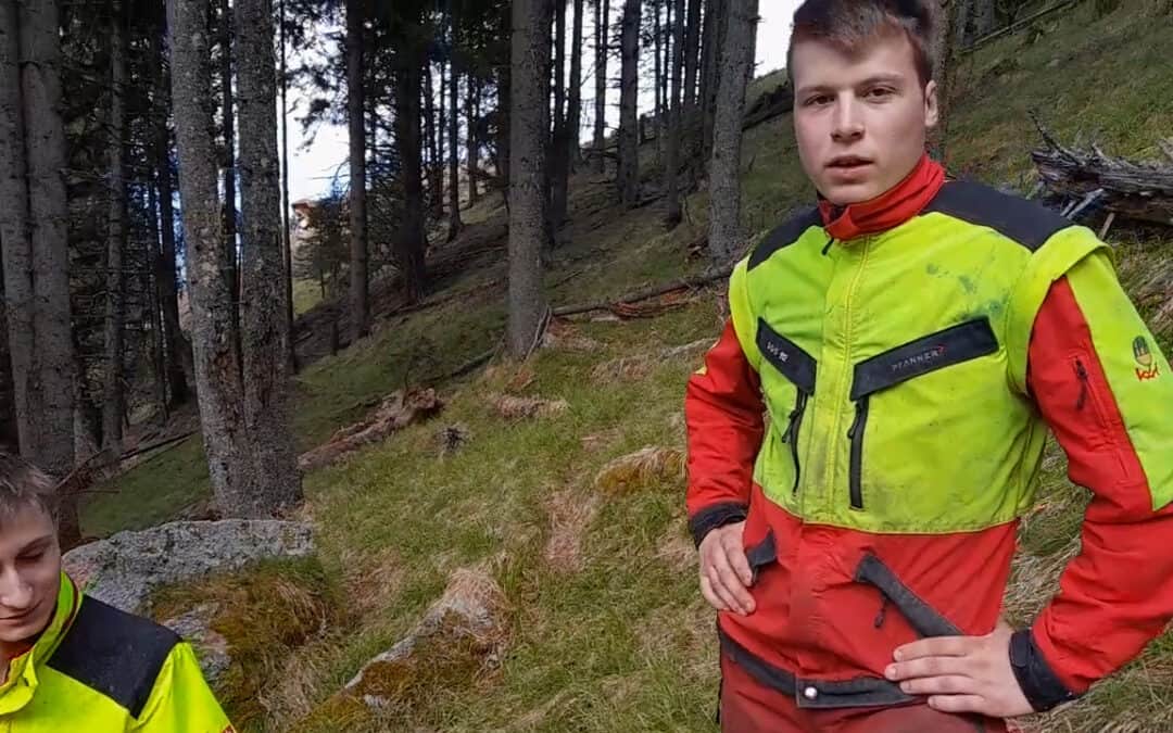 Klimafitte Wälder entstehen nur durch Pflege