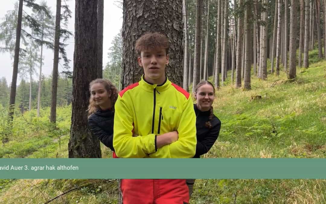 Gib dem Schwammerl Zucker