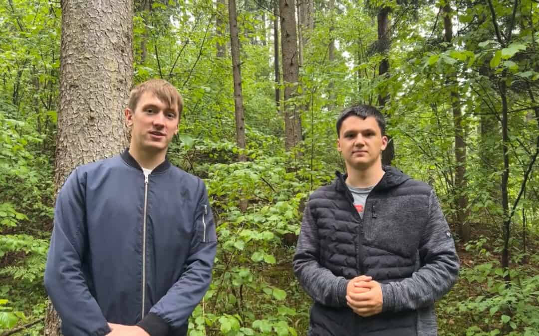 Methoden zur Borkenkäferbekämpfung