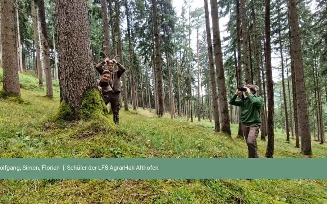 Wald und Wild – ein ausgeglichenes Verhältnis ist wichtig