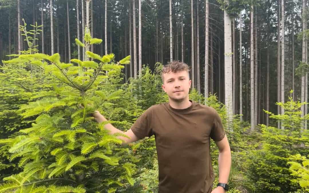 Mutterbaum und Bejagung bringen reichhaltige Tannenverjüngung