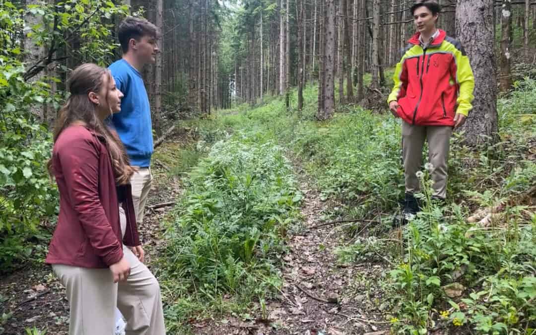 Augen auf beim Wald-Spaziergang