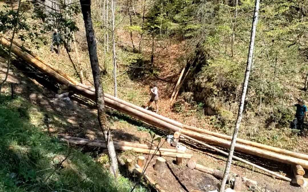 Ohne Holz kein Salz (2/2)