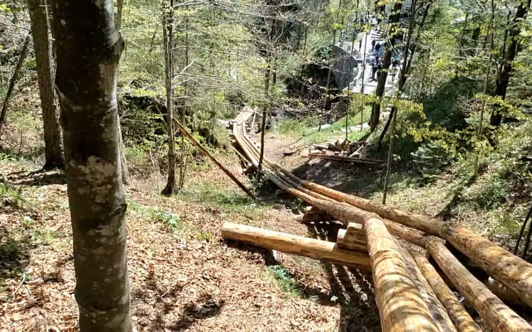 Ohne Holz kein Salz (1/2)