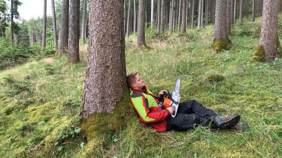 waldgeschichten-app-video-klimafitten-wald-erklaert