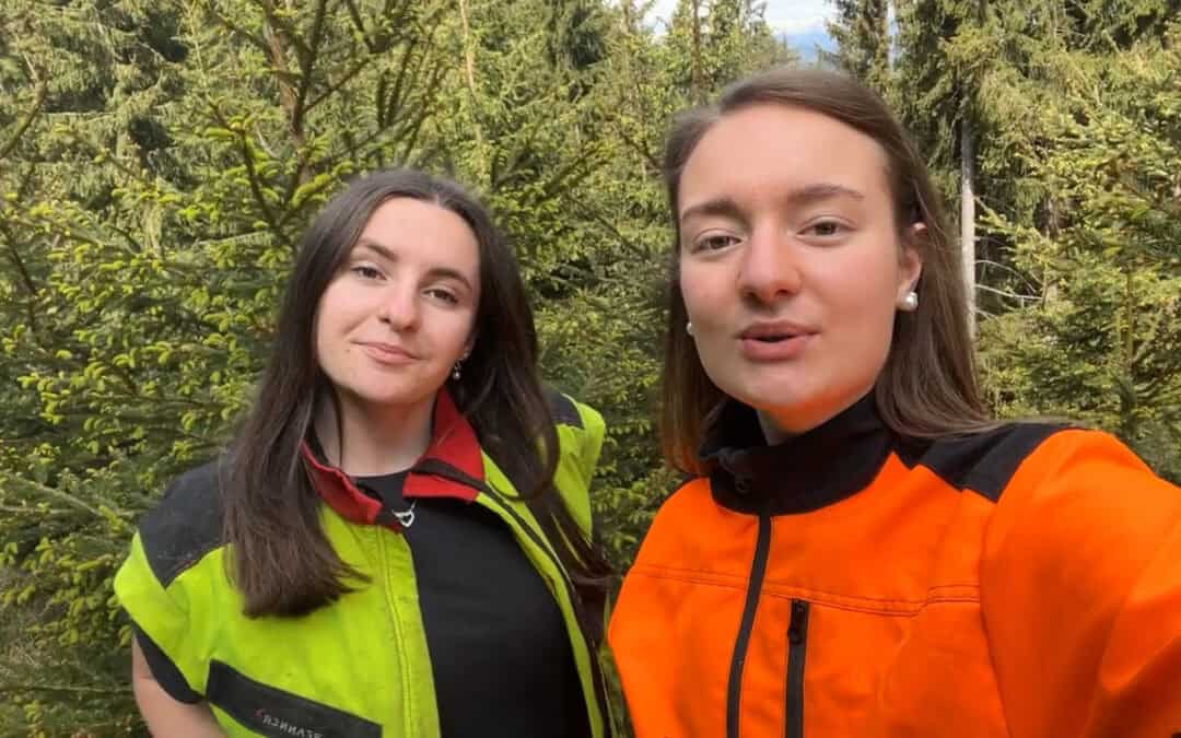 Wirkungen des Waldes