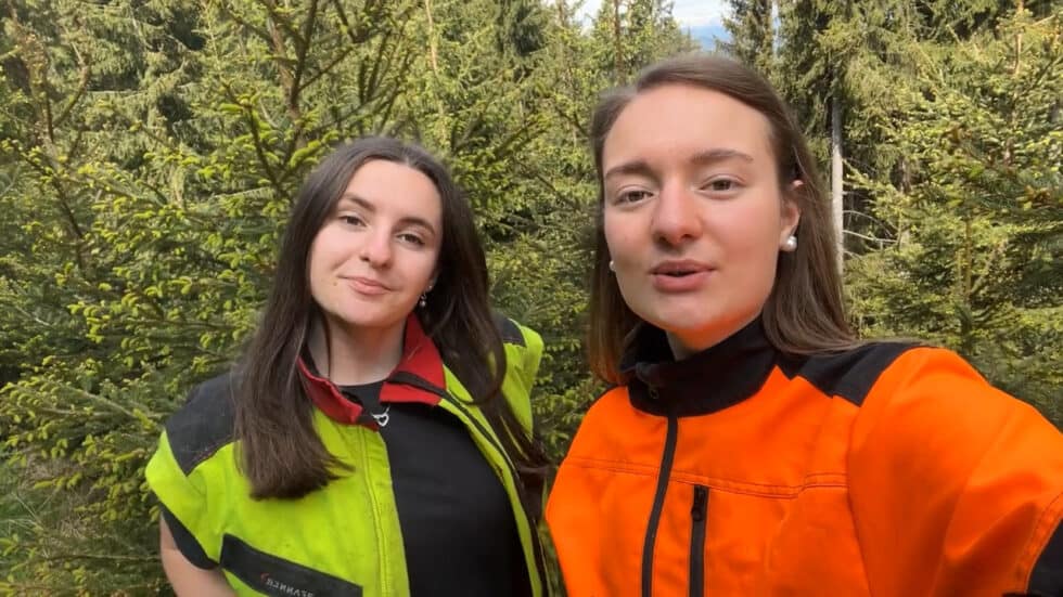 waldgeschichten-app-video-wirkungen-des-waldes-erklaert