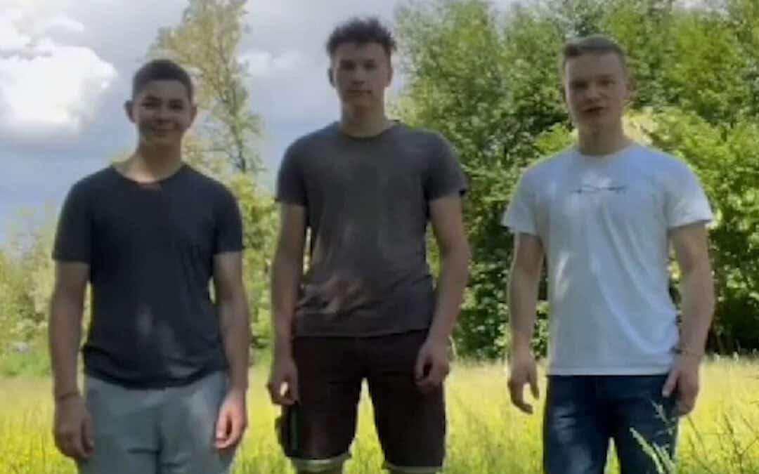 Die Fichte ist wichtig, aber die Baumartenmischung macht’s