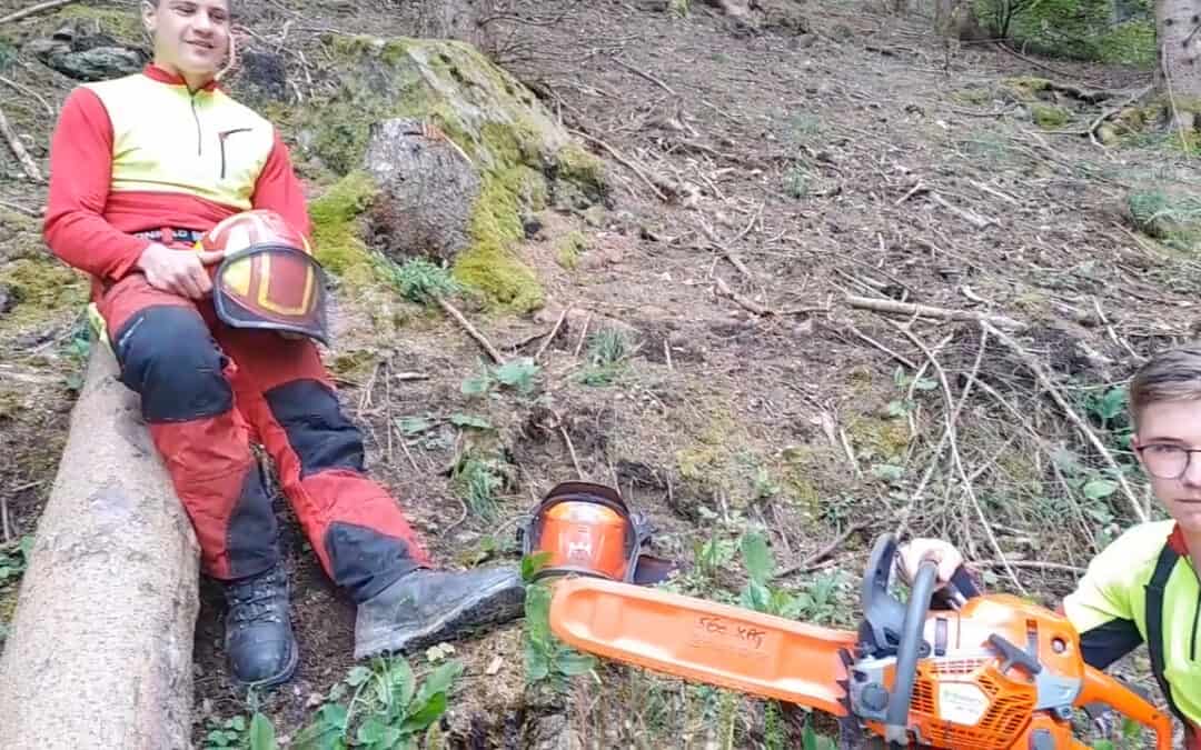 Mit Kettenfangbolzen und Co. sicher im Wald arbeiten