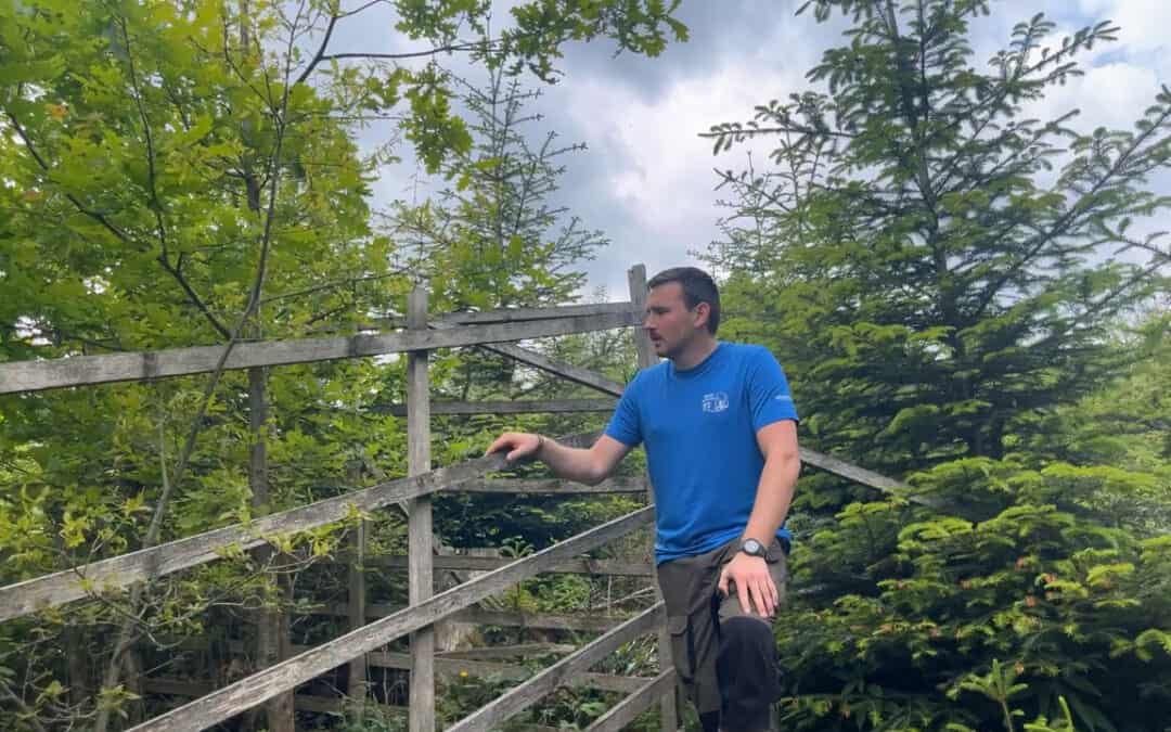 Die Eiche als Zukunftsbaumart