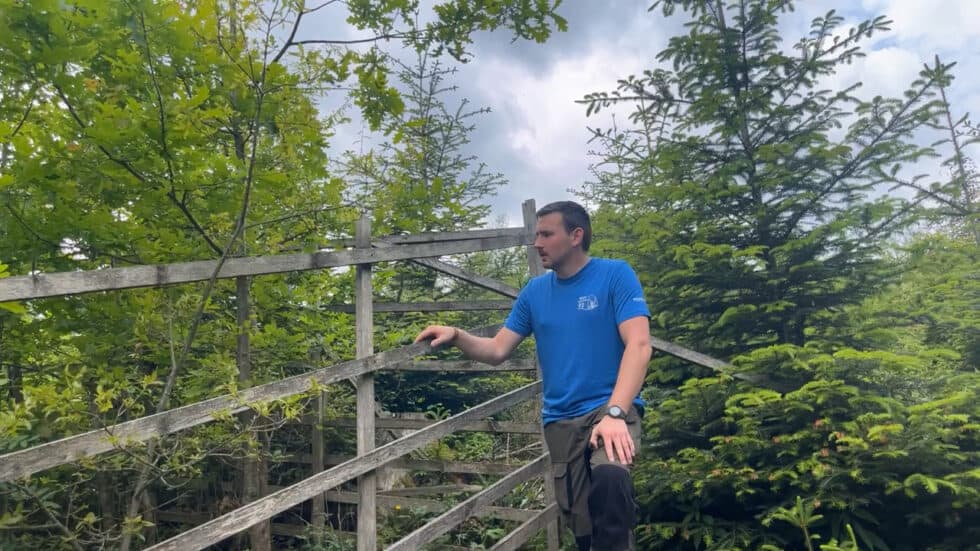 Waldgeschichten-App-Video-erklaert-Eiche-ist-eine-Zukunftsbaumart