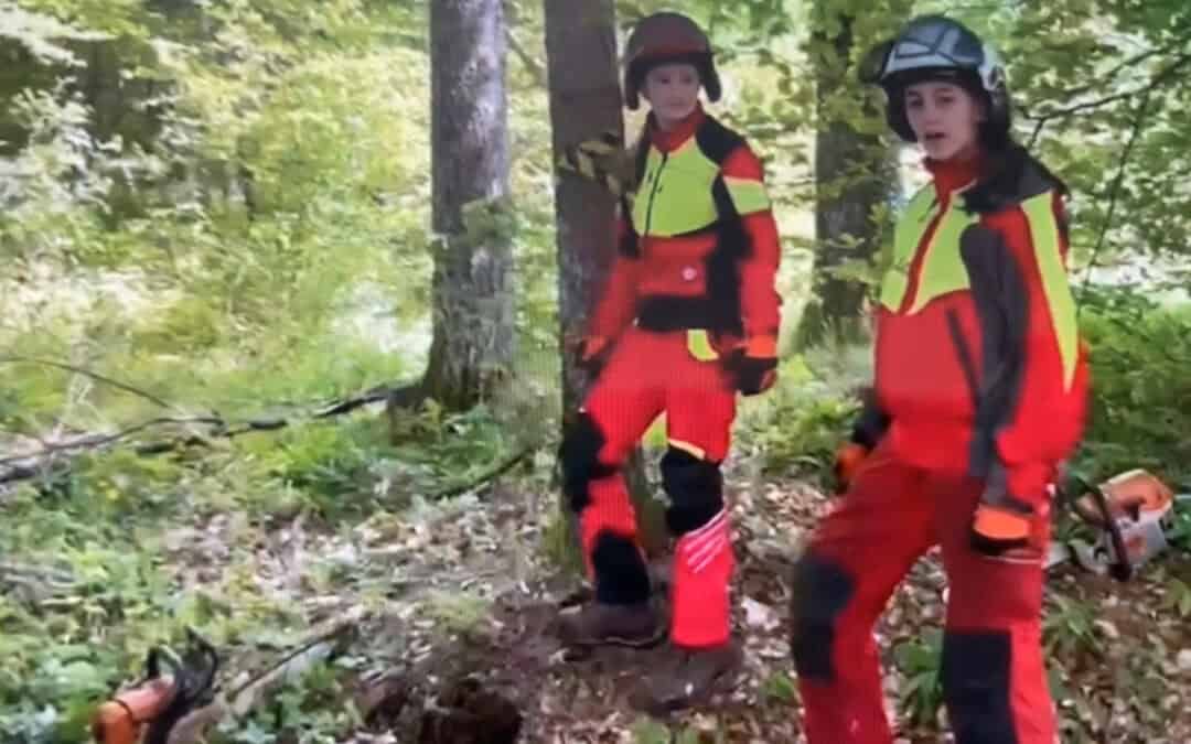 Arbeitssicherheit im Wald geht vor