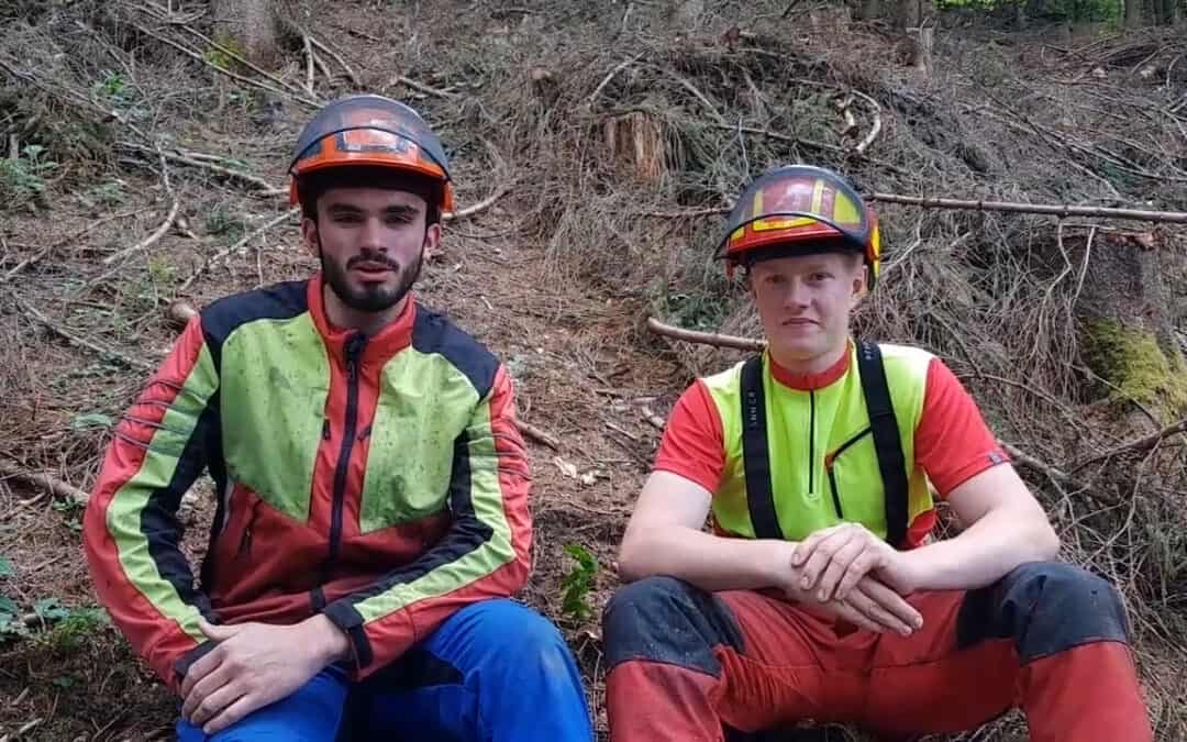 Durchforstung und Pflege für klimafitte Wälder