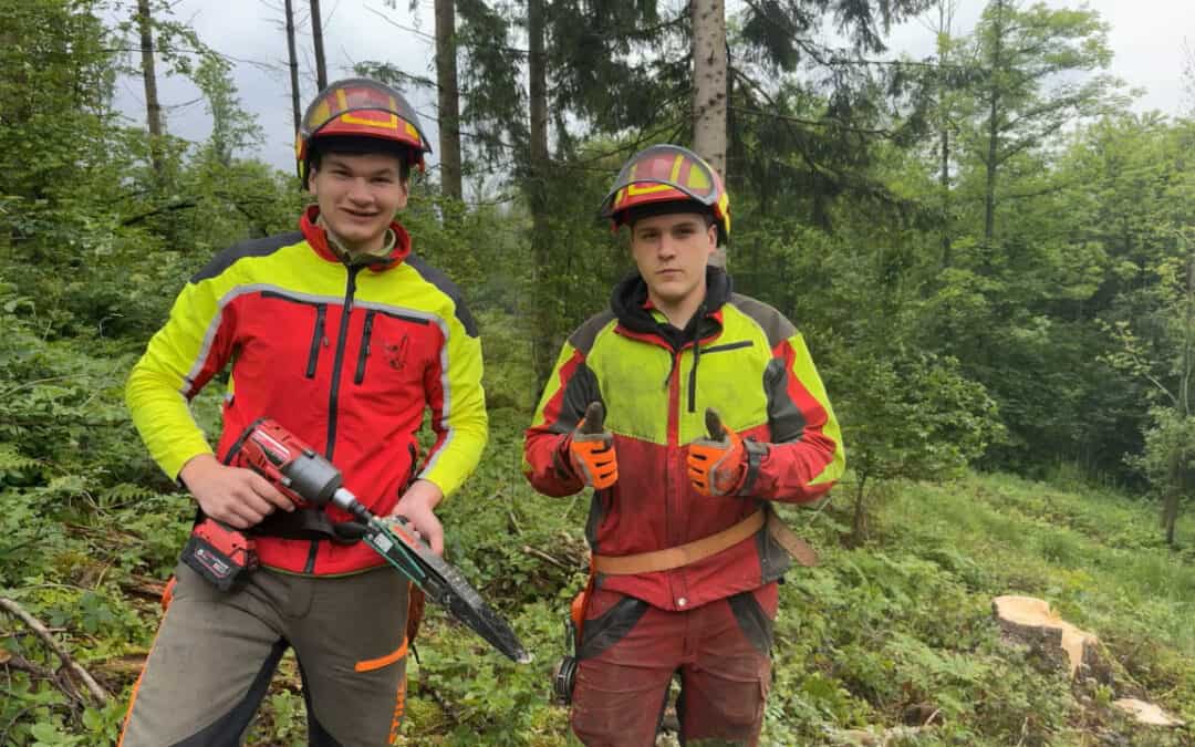 Neue Technik für Ergonomie und Sicherheit im Wald