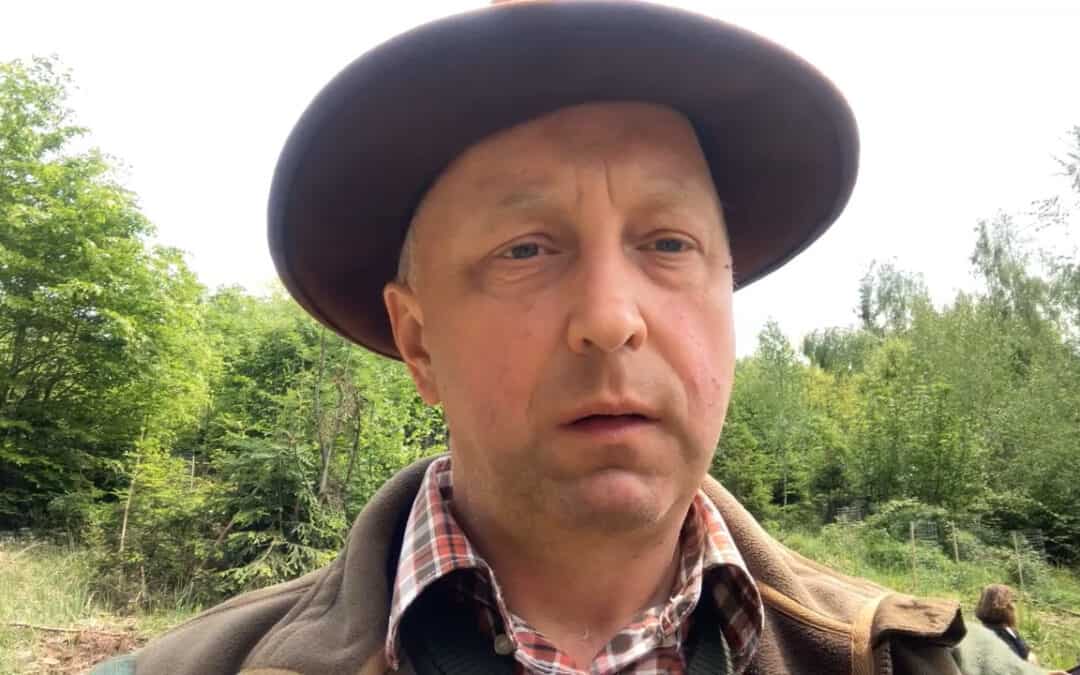 Rückewege dienen dem Bodenschutz im Wald