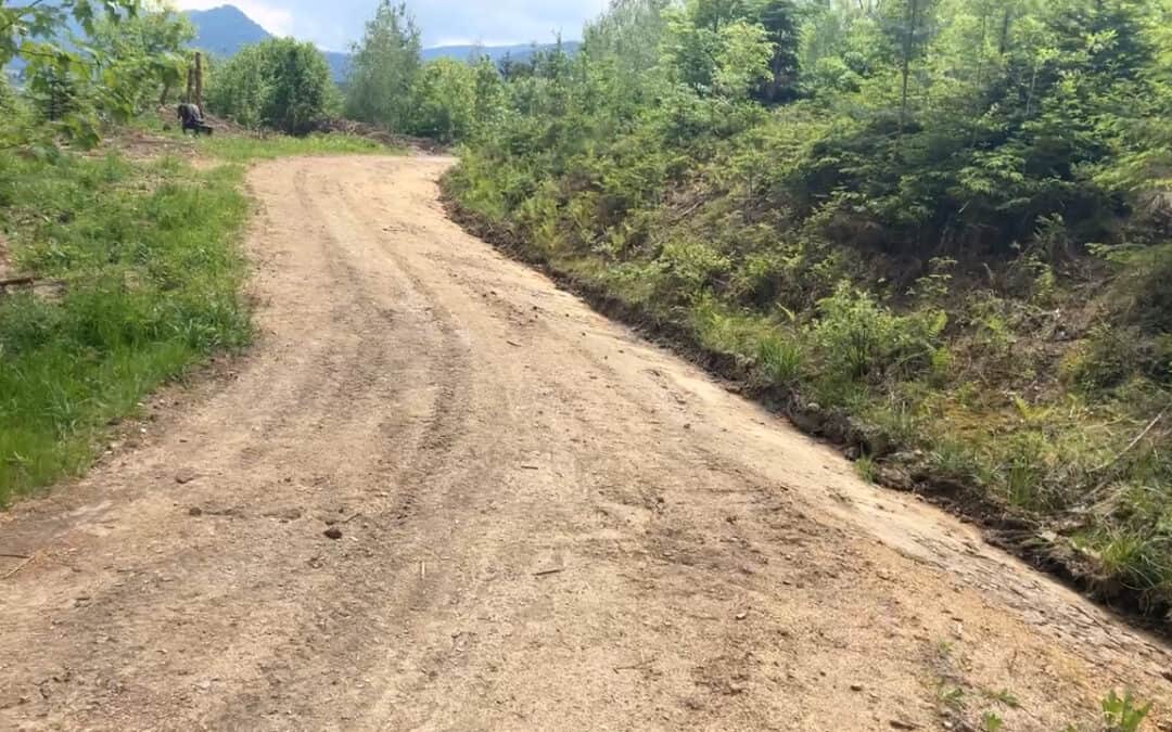 Forststraßen im Wald richtig sanieren