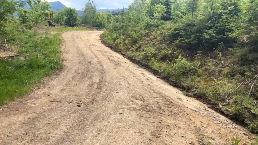 waldgeschichten-video-forststrassen-im-wald-richtig-sanieren-erklaert