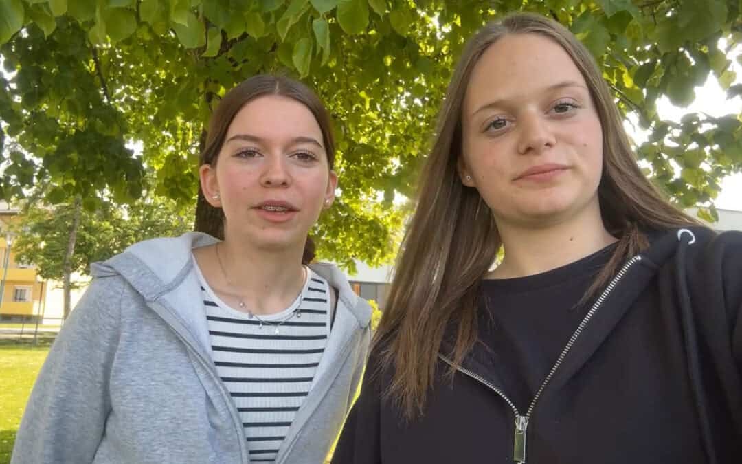 Fichte und Tanne, zwei wichtige Baumarten