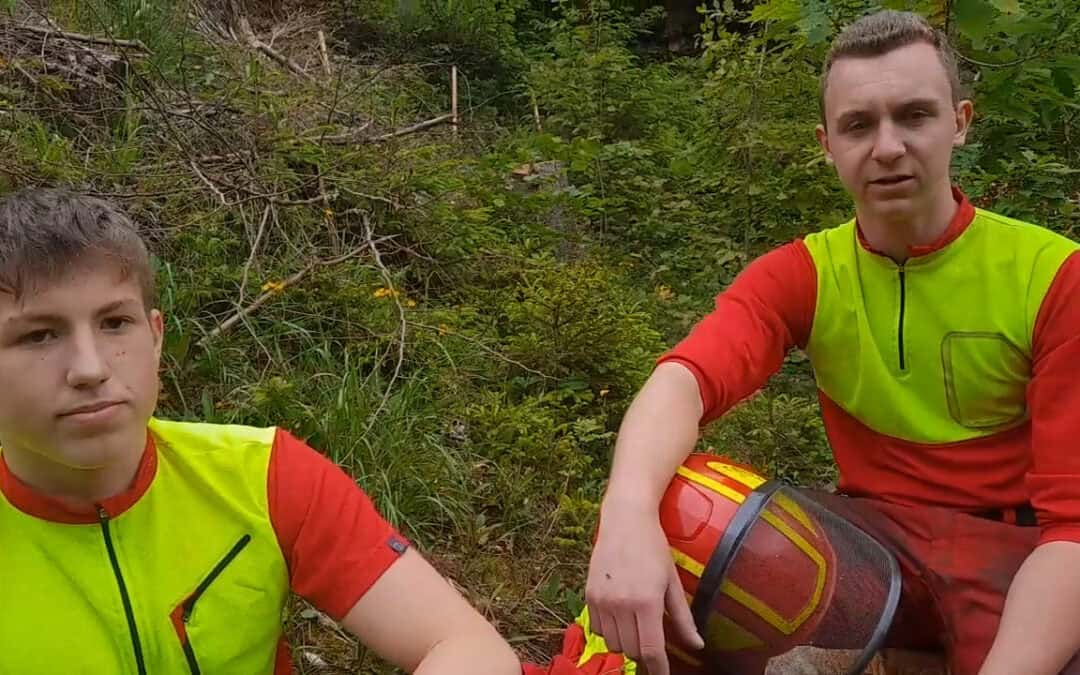 Vorteile der Naturverjüngung nutzen