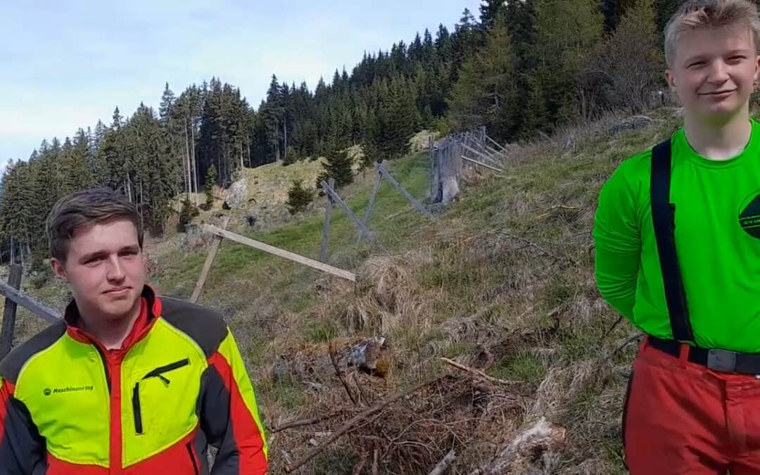 Mit einfachen Mitteln die Verjüngung schützen