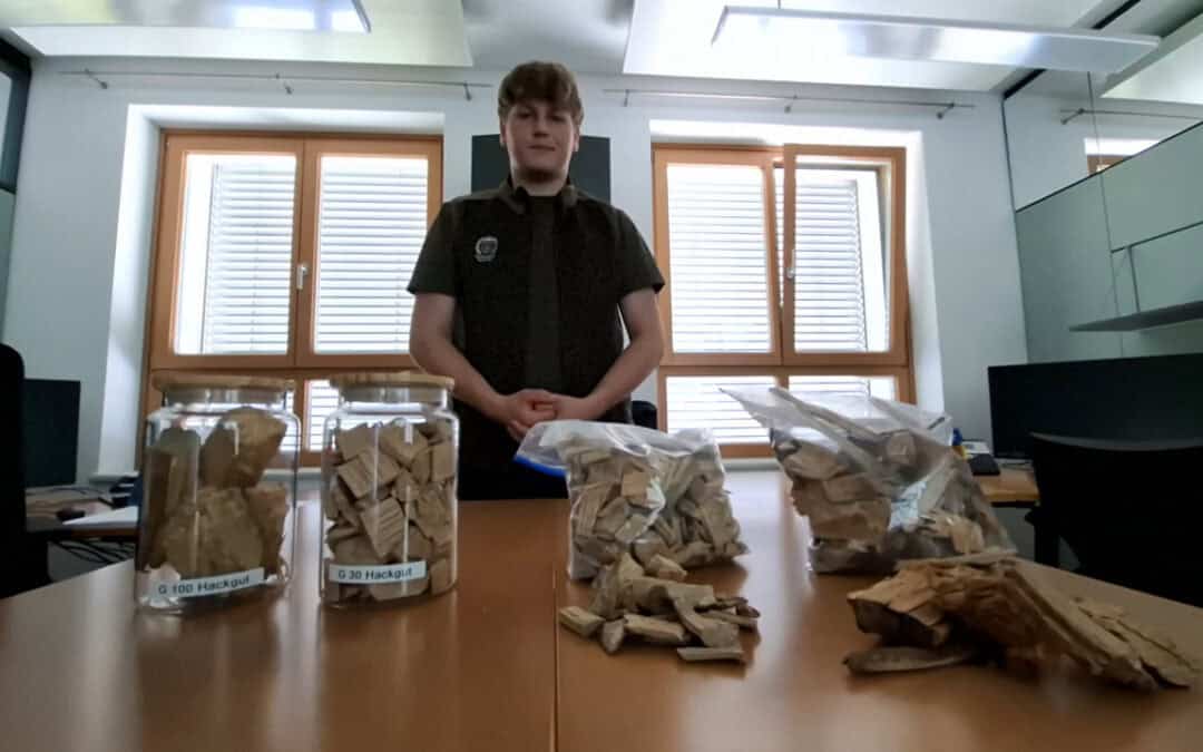 Energieholz für den Klimaschutz