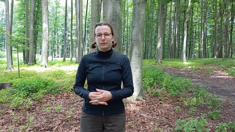 waldgeschichten-video-johanna-erklaert-kohlenstoffspeicher-waldboden