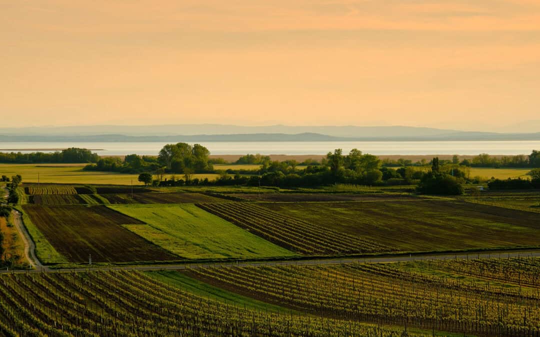 7 Ausflugstipps im Burgenland