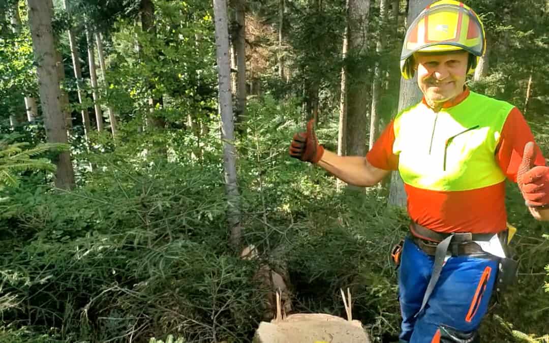 Mit Waldbewirtschaftung und Holz das Klima schützen