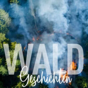 Waldgeschichten-Waldbraende-Feuer-im-Wald