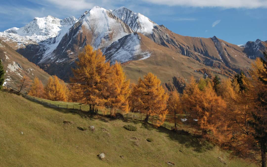 Besondere Wälder – Das Zedlacher Paradies