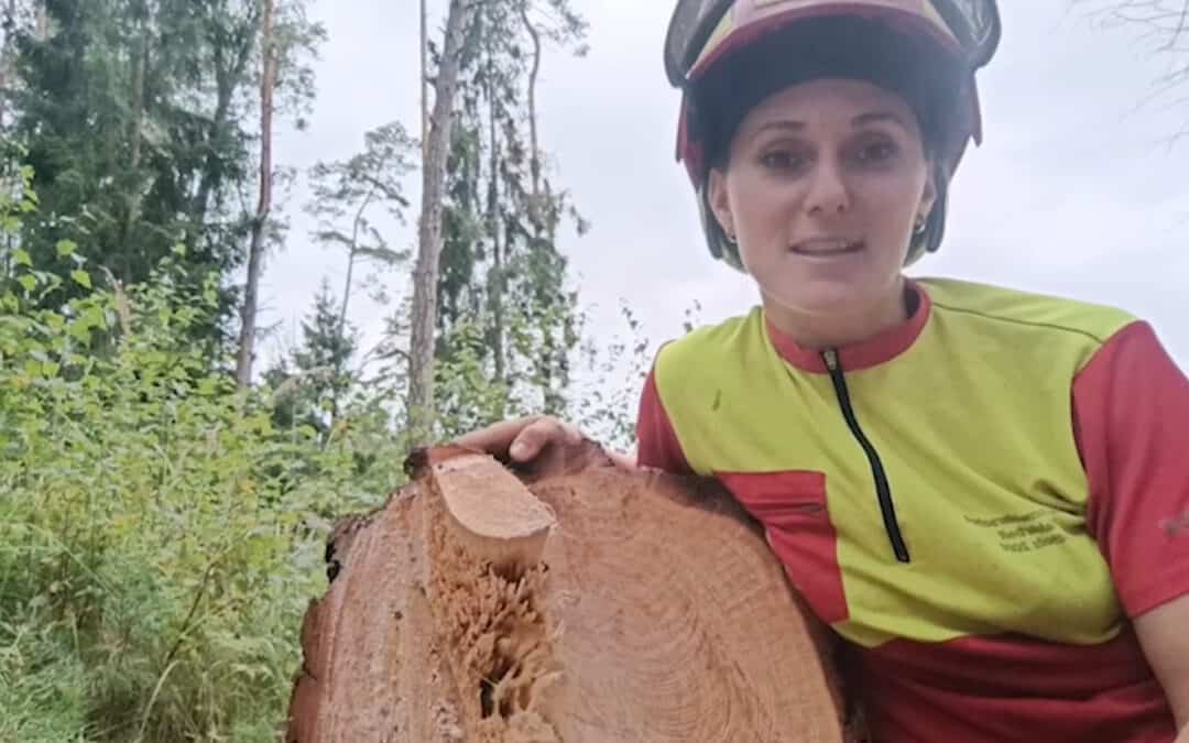 Holzverwendung: Holz für das eigene Wirtschaftsgebäude