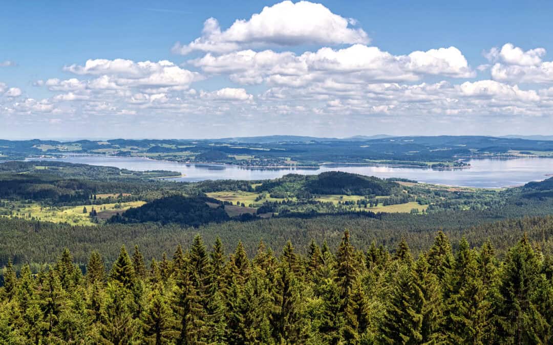 Besondere Wälder: Der Böhmerwald