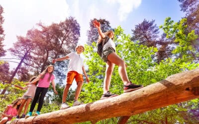 NEU! Bildungsangebote rund um den Wald auf waldgeschichten.com