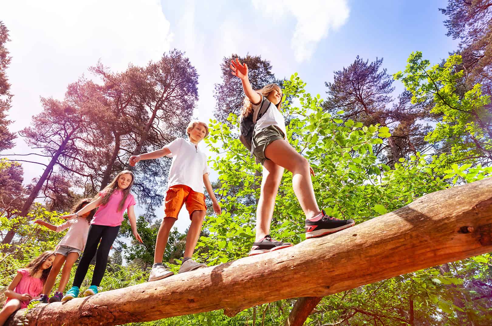 waldgeschichten-wissen-ueber-den-wald-bildungsangebote-kinder-laufen-ueber-baumstamm