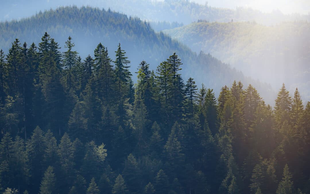 Die Luft in Europa war in den letzten 400 Jahren nie so trocken wie heute