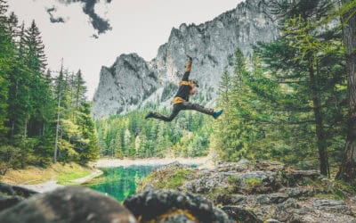 Regeln im Wald: So können wir die Wälder gleichermaßen genießen und ihre Funktionen erhalten.