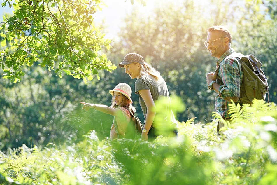 Regeln im Wald für Groß und Klein
