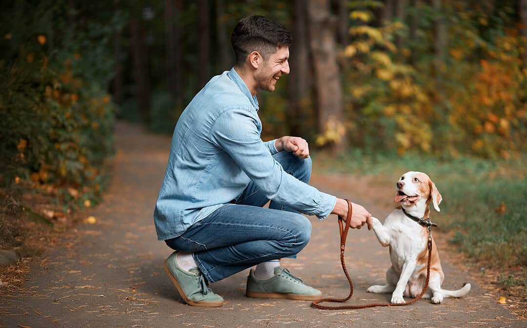 Mit dem Hund im Wald unterwegs