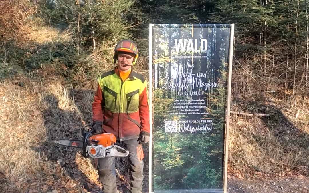 Bodenschonende Waldpflege