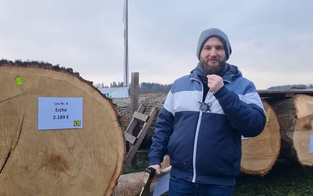 Siegerbaum der Laubholzsubmission in Oberösterreich