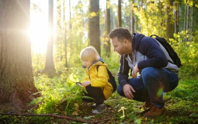 Waldwissen für Kinder – eine neue Online-Plattform zum Staunen, Lernen und Mitmachen