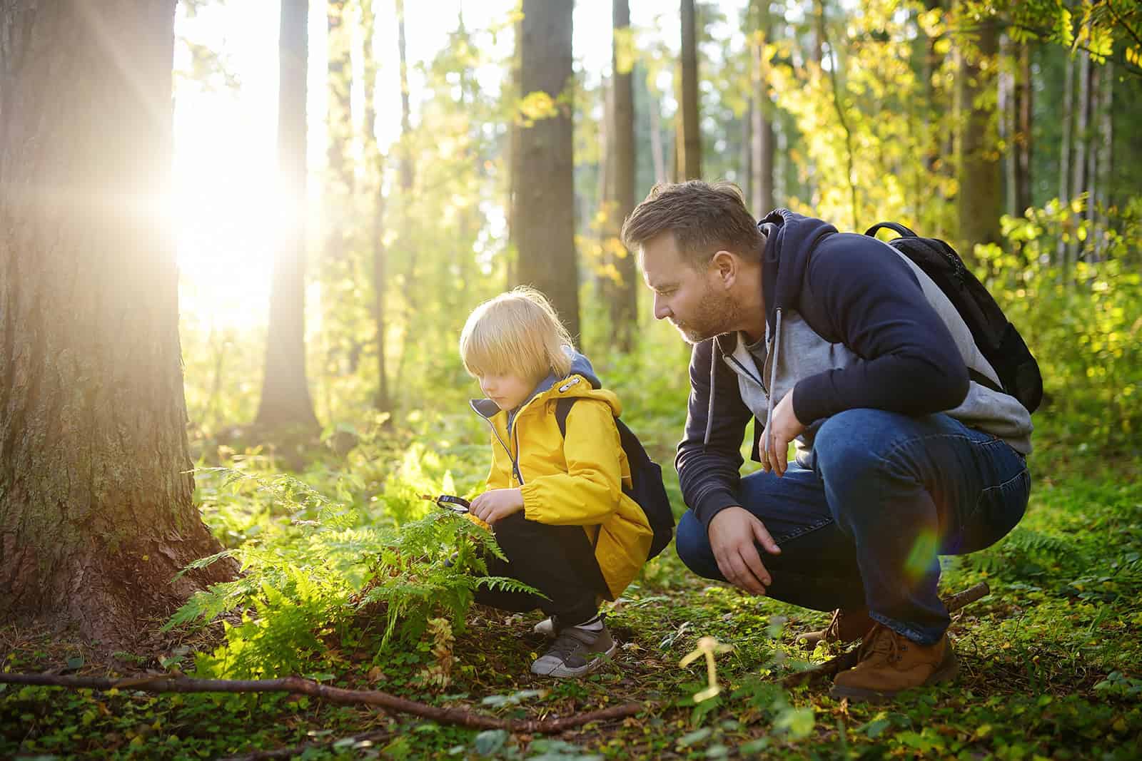 Waldgeschichten für Kinder Elternbereich
