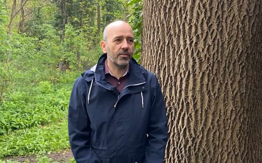 Klimafitte Wälder proaktiv gestalten