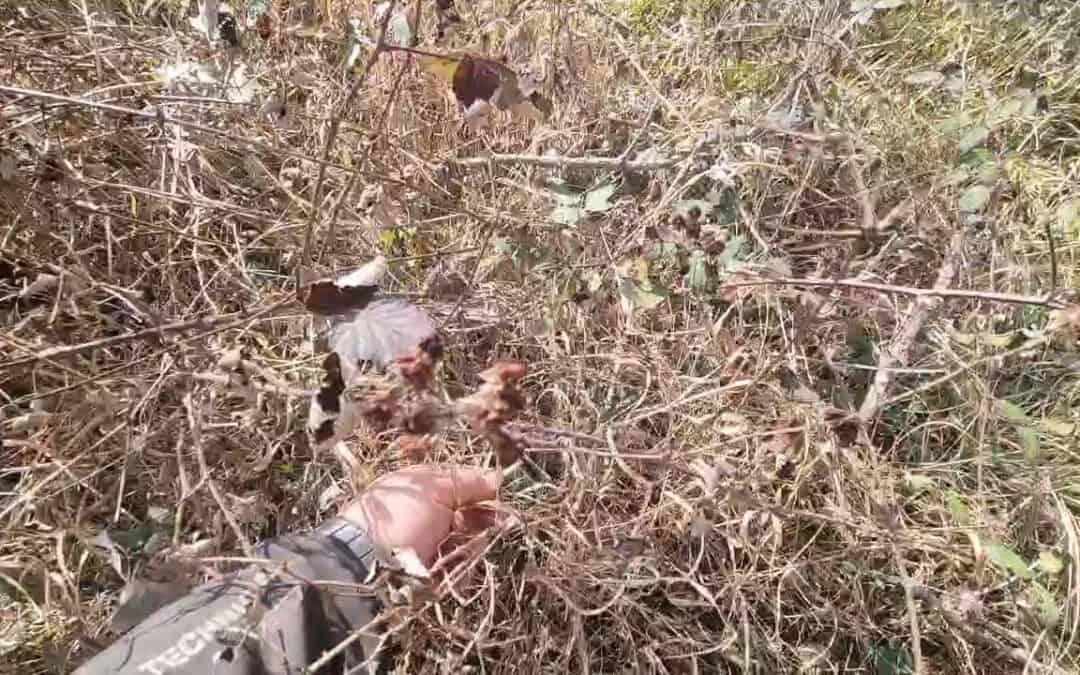 Kleiner Funke, große Wirkung – Achtung Waldbrandgefahr!