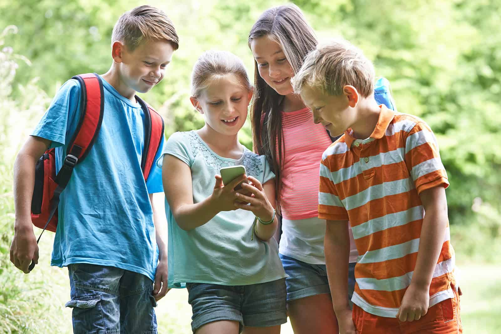Onlinekurs zum Thema Waldbiosiversität