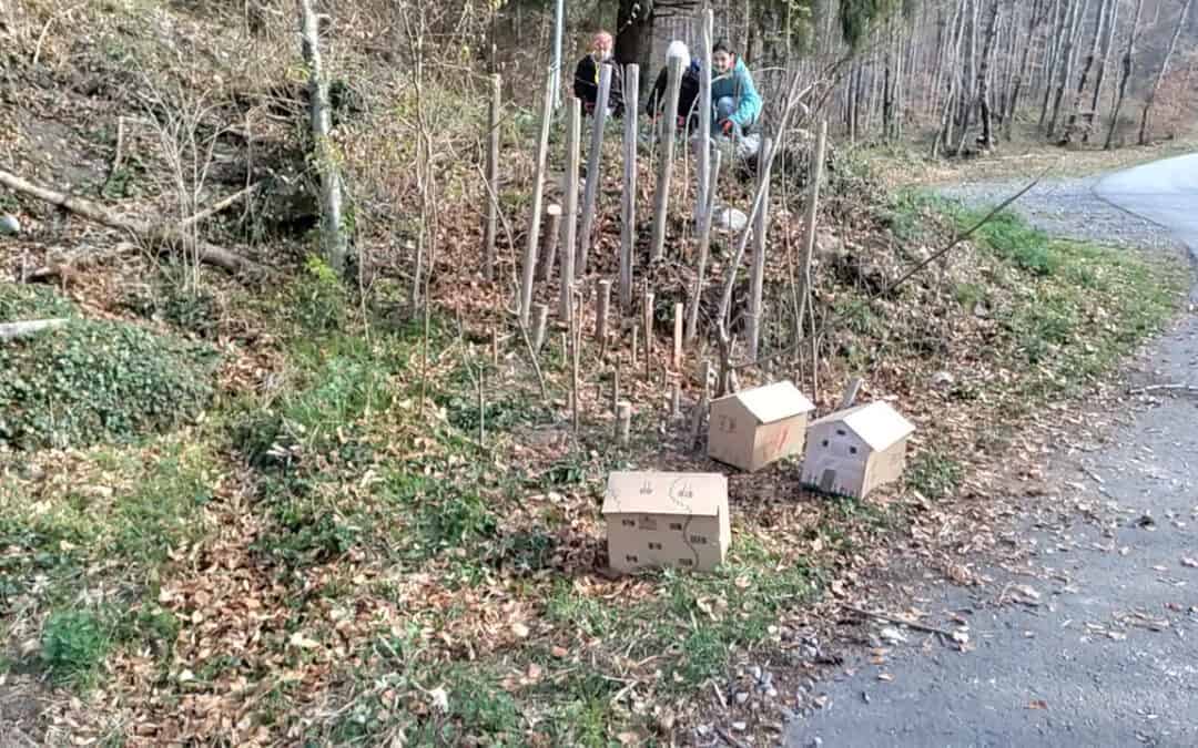 Die Schutzwirkung des Waldes spielerisch erforschen