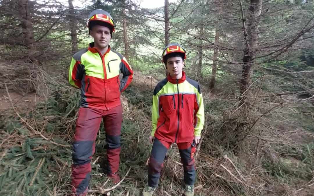 Begeisterte Stammzahlreduzierer in Waldbeständen