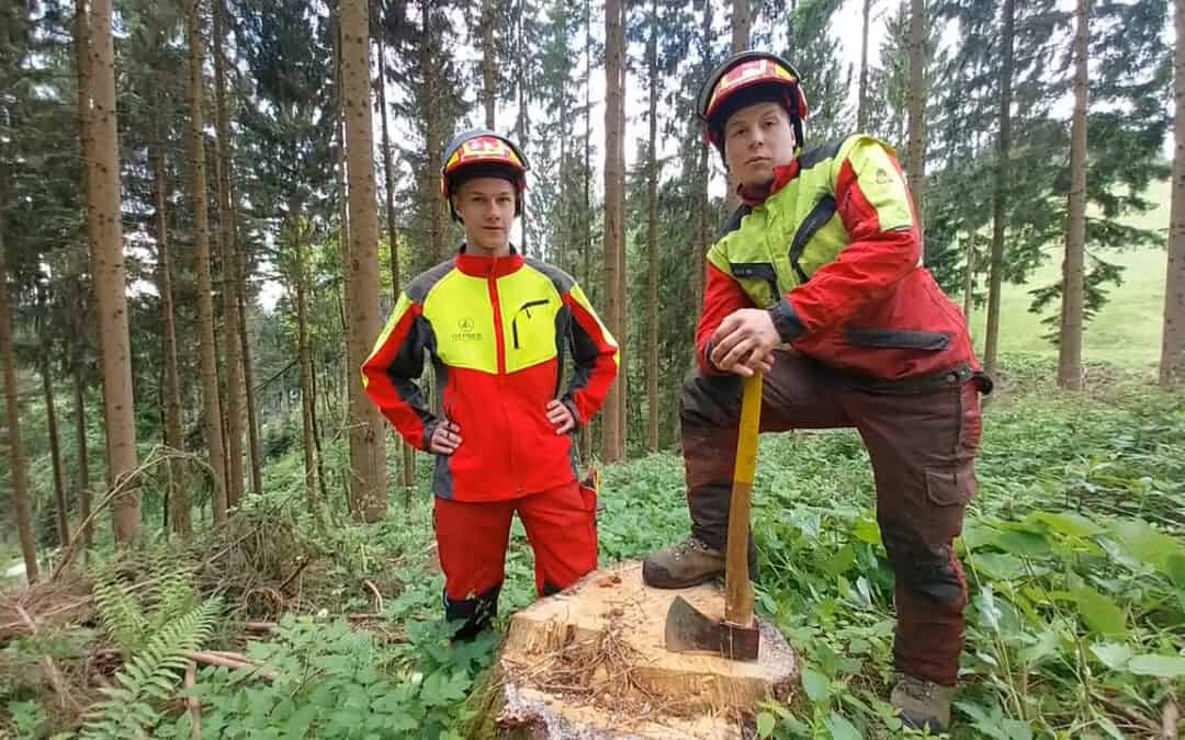 Auf der Jagd nach dem Borkenkäfer